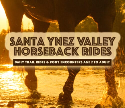 Enjoy an Enchanting Horseback Ride